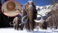 4 bin yıllık Mamut Köftesi yer misiniz? Şaka değil soyu tükenen mamutlardan köfte yaptılar: Sırada T-Rex ve Dodo etlerinden yemekler var!