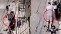 Damacanaya tecavüzün ardından parke taşına cinsel istismar! Türkiye bunu da gördü. İşte o iğrençlik...