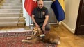 Deprem kahramanı Killian hayatını kaybetti: İsveç'ten gelen köpek 18 kişiyi kurtarmıştı