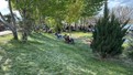 Vatandaşlarda büyük endişe! Alerjik şikayetler arttı