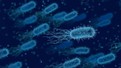'Süper antibiyotik' geliyor! Milyonlarca insanın hayatını kurtarabilir