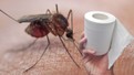 Ne sprey ne cihaz! Tuvalet kağıdıyla sivrisinekleri uzaklaştıran yöntem viral oldu