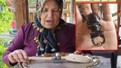 Bu böceği öldürmek, almak ve satmak yasak! O hataya düşenler servet ödeyecek