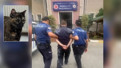 Tadilat için geldiği sitede "Cezve"yi katletmişti! Bakan duyurdu: O cani yakalandı