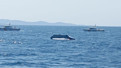 Marmara Adası açıklarında esrarengiz olay! Ünlü iş adamının lüks yatı parçalanmış halde bulundu… Bir kişi kayboldu