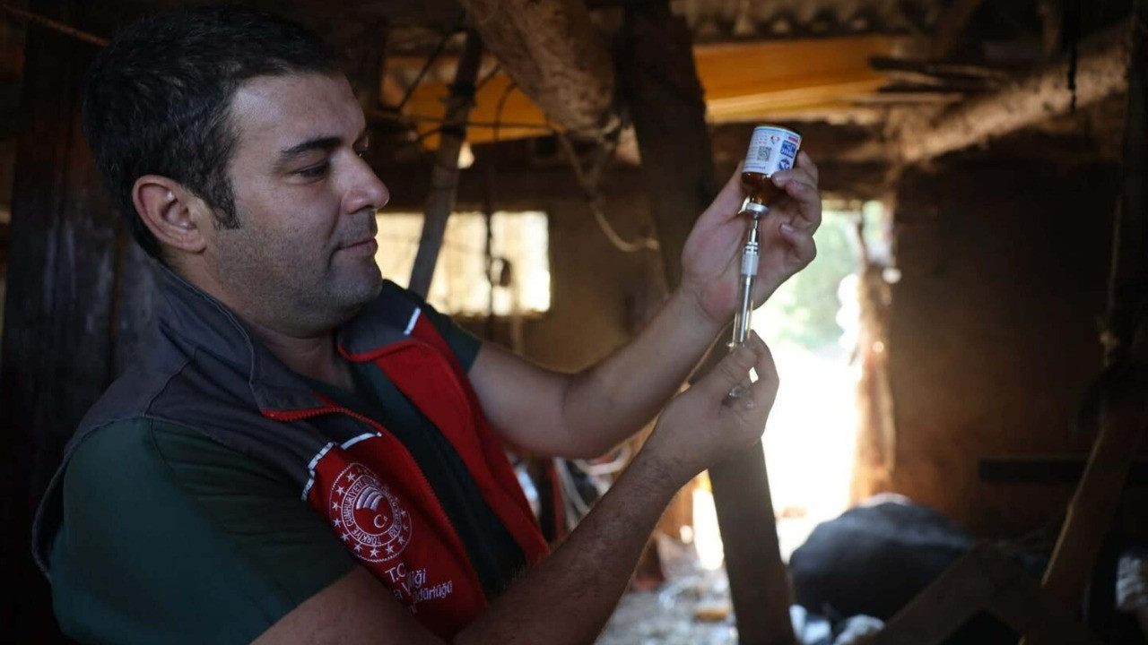 Şehir diken üstünde! 11 mahalle karantina altında