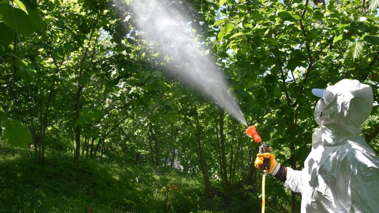 Reçetesiz ve internetten satışı yasaklandı! Yetki için sınav düzenlenecek