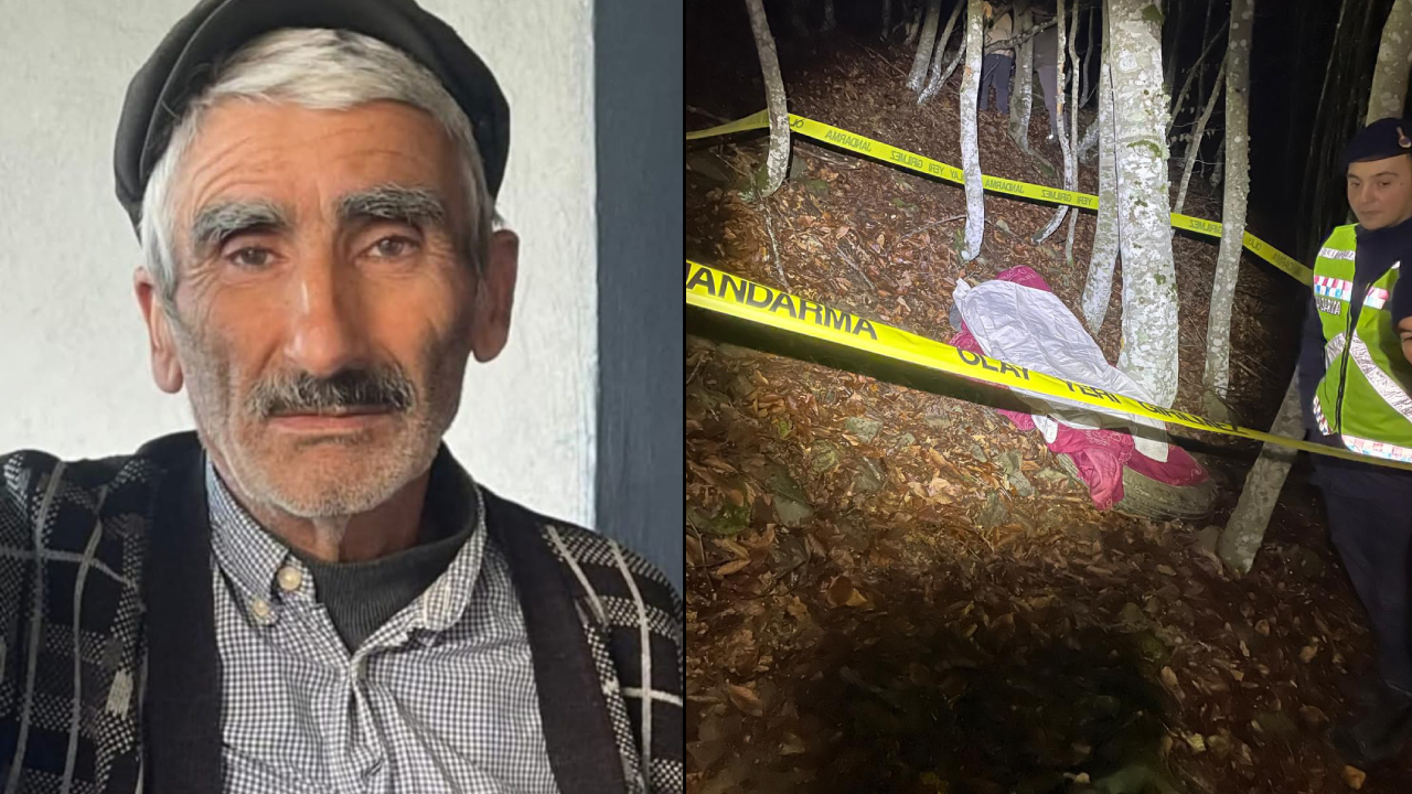 Kahreden kaza! Uçuruma yuvarlanan sürücü öldü, eşi yaralandı