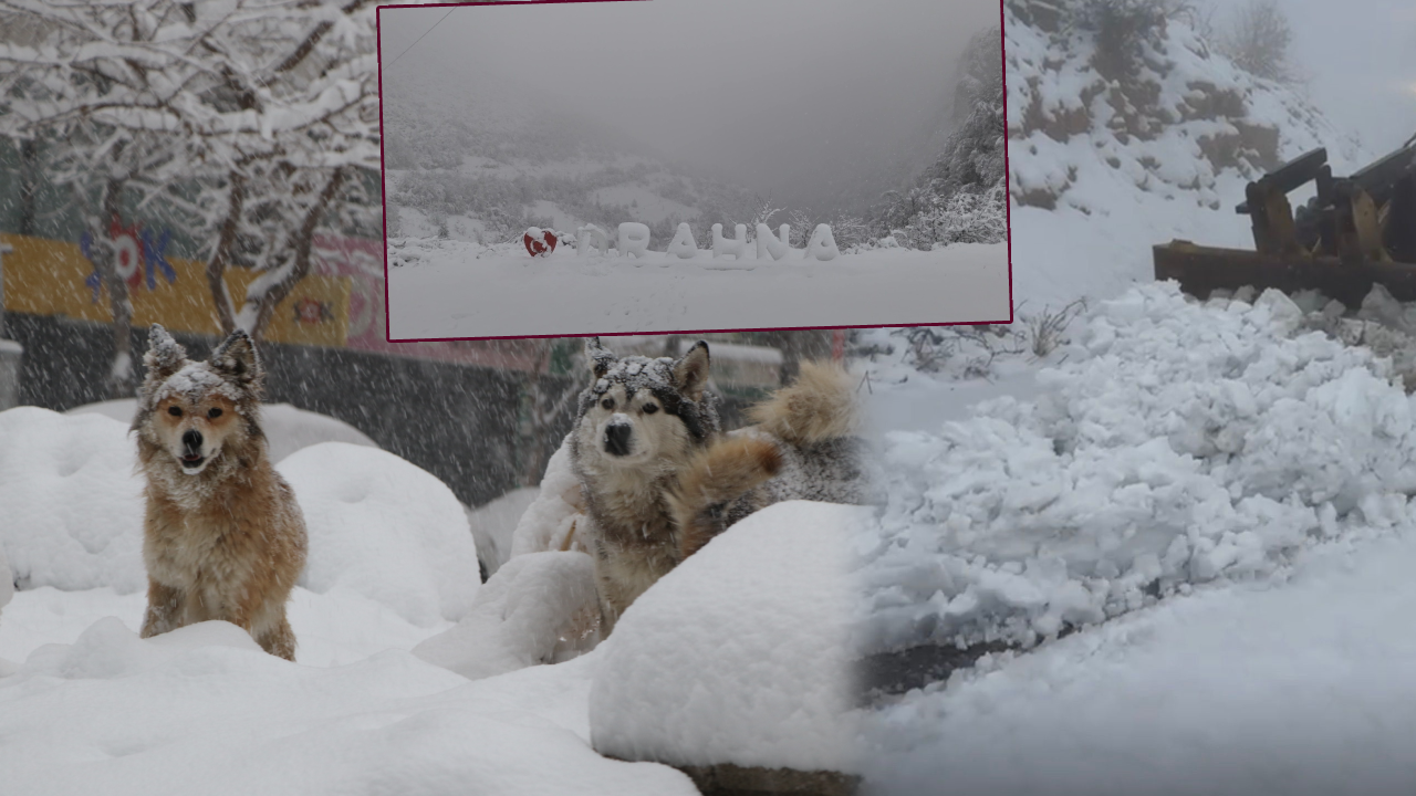 Yoğun kar yağışı hayatı esir aldı! 569 köy yolu kapandı, kar kalınlığı 50 santimetreye ulaştı