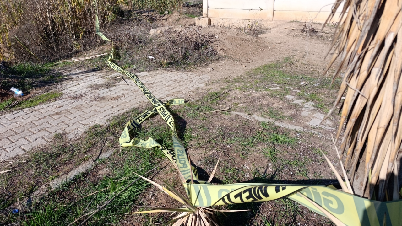 Yol kenarında gizemli kadın cesedi!