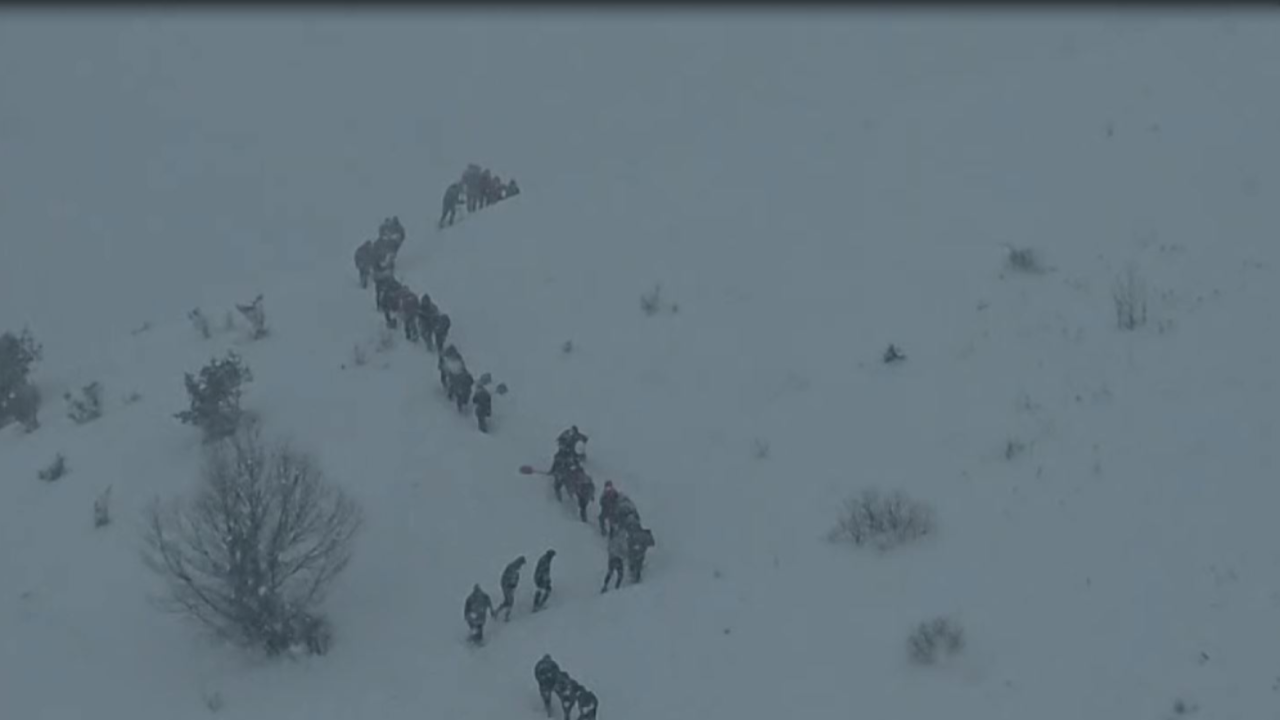 3 çoban çığ altında kalmıştı! Artvin'deki faciadan acı haber geldi