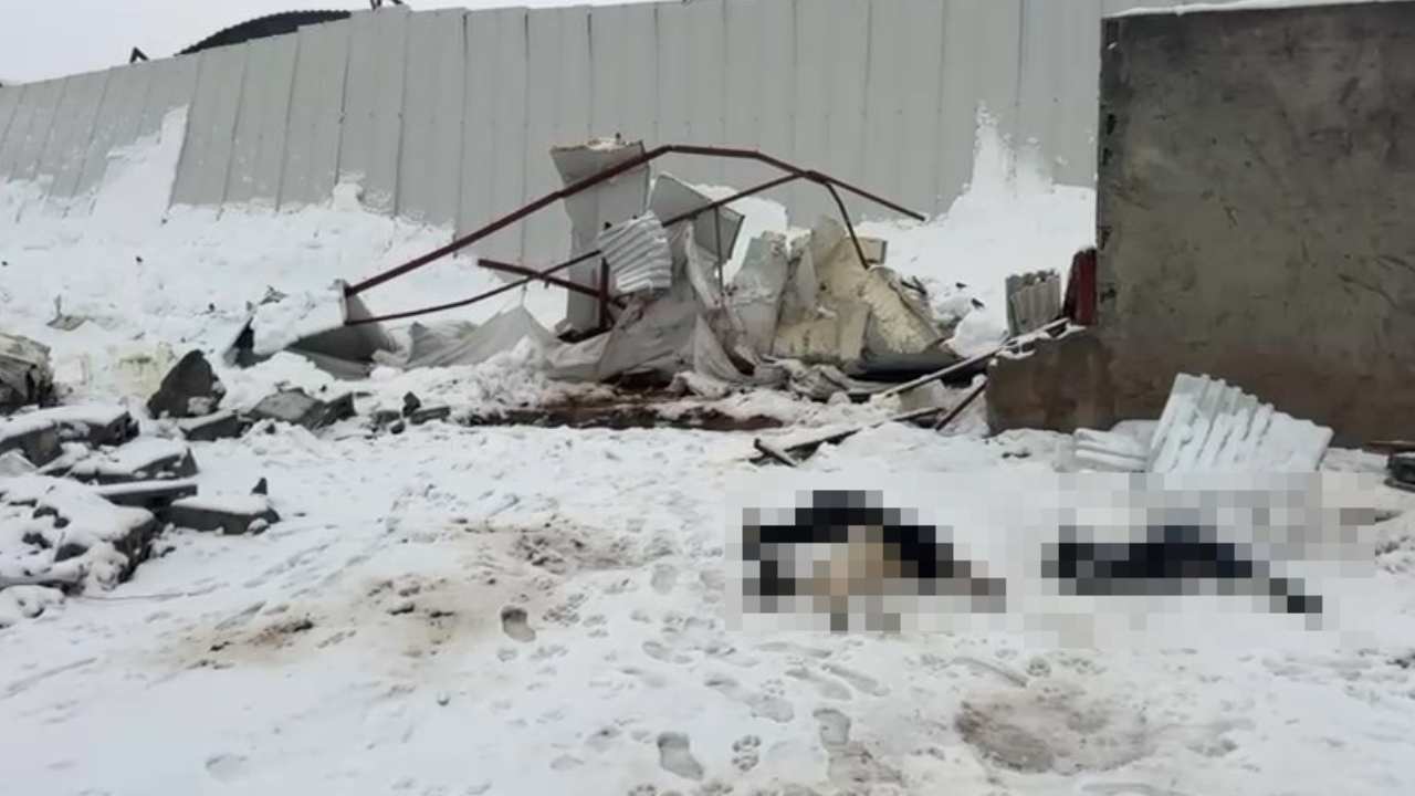 Kahreden olay! Ahırın çatışı çöktü: Hayvanlar öldü