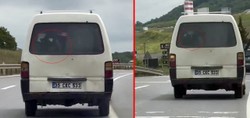 Sakarya'da trafikte şoke eden görüntü: Panelvanın arkasında buzağı taşıdı