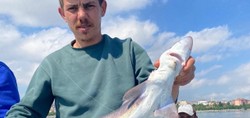 'Jaws geliyor' dedi gerçek oldu! İstanbul'da oltaya köpek balığı takıldı
