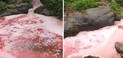 Rize'de kırmızı alarm! Ekipler inceleme başlattı