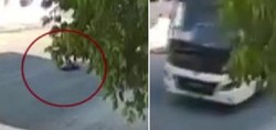 Aydın'da vicdanları sızlatan olay! Sokakta yatan köpeği ezip yoluna devam etti