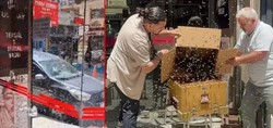 Yer: Bursa! Arı sürüsü iş hanını esir aldı