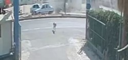 Şanlıurfa'da yolun karşısına geçmek isteyen köpek kazaya neden oldu! 4 kişinin yaralandığı kaza kameraya böyle yansıdı