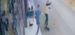 Erzurum'da şoke eden anlar kamerada! Köpeğini gezdirmeye çıkan adama kediler saldırdı