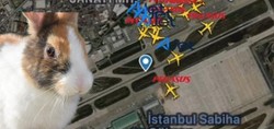 Sabiha Gökçen’de tavşan paniği! Pilot kuleye böyle seslendi