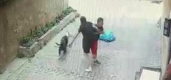 İstanbul'da pitbull saldırısı. Oyun oynayan çocuk hedef oldu