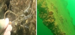 Sapanca Gölü'ne düşen uçağın enkazı 53 yıl sonra yeniden görüntülendi
