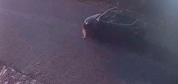 Sürücü durmadan yoluna devam etti! Büyükçekmece'de otomobilin köpeğe çarptığı anlar kamerada