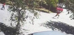 Ahlat'ta korku dolu anlar kamerada! Küçük kız çocuğuna başıboş köpekler saldırdı. Çocuk, vatandaşın hızlı müdahalesiyle son anda kurtarıldı