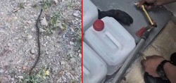 Amasya'da hastane deposunda yılan paniği!