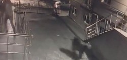 Kars'ta sitenin bahçesine giren ayı büyük panik yarattı! O anlar güvenlik kamerasına yansıdı