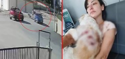 Bursa'da köpeğini gezdiren kadın dehşeti yaşadı! 2 sokak köpeğinin saldırısına uğrayan kadın kanlar içinde kaldı. O anlar kameraya böyle yansıdı