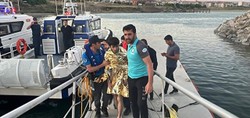 Van Gölü'nde korku dolu anlar! Akıntıya kapılan genci deniz polisi kurtardı