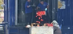 Zincir markette kasalar dolusu domates çöpe döküldü: Yaşlı kadın topladı! O görüntüler tepki çekti