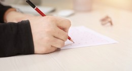 LGS’de tartışma yaratan soru: LGS’deki ‘at sorusu’ bir skandal mı yoksa mantık sorusu mu?