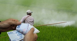 Çiftçiler zor durumda: Uygulanan zamlar sonrasında 29 Mart gübre fiyatları güncellendi. İşte Mart ayı güncel Üre, DAP, Can, Amonyum Sülfat gübre fiyatlarındaki son durum