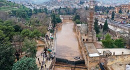 Sağanak yüzünden taşan Balıklıgöl'de sular çekildi: Peki Şanlıurfa Balıklıgöl'deki balıklara ne oldu?