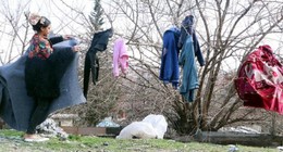 Deprem ve selin yaraları sarılıyor. Malatya'daki afetzedeler yıkadıkları çamaşırları ağaçlara ve çalılara asıyor