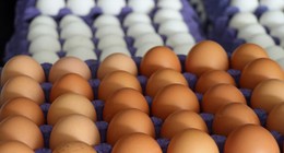 30'lu L boy yumurta 59 TL'ye düştü: İndirimi gören yumurta stoklamaya başladı. İşte bir koli yumurtada dev indirim gerçekleştiren o market