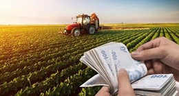 Çiftçilere mutlu edecek haber Tarım ve Orman Bakanlığı'ndan geldi. Çiftçilere yaklaşık 1,7 milyar liralık tarımsal destek ödemesi bugün yapılacak