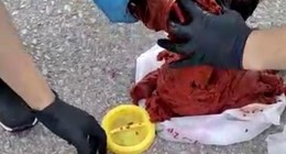 5 litrelik plastik salça bidonunun içinden çıkanlar şoke etti