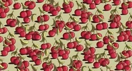 Hepsi kırmızı ama biri daha kırmızı. Kirazların arasına gizlenmiş domatesi 8 saniye içinde bulabilir misin? Sadece üstün zekalılar 8 saniye içinde bulabiliyor