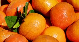 Kabuğu böyleyse hemen alın. Tatlı ve sulu mandalina seçmenin tüyosu bulundu: Mandalina alırken bu püf noktalara dikkat