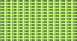 Çok zekiyim diyenler bile bulmakta güçlük çekiyor. Sadece zehir gibi zekaya sahip olanlar resimdeki farklı sayıyı 8 saniye içinde bulabiliyor. Farklı sayıyı 8 saniye içinde bulanlar dahi sayılıyor