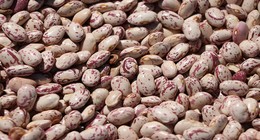 Barbunya Pişirirken Dikkat! Dağılmayı ve Gazı Önlemenin Püf Noktaları!