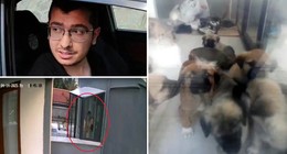 Ankara'da o doktorun telefonu çözüldü! Cinsel içerikli hayvan videoları çıktı. Mesajları ifşa oldu