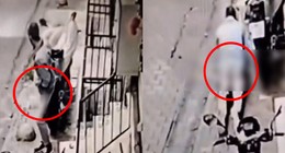 Damacanaya tecavüzün ardından parke taşına cinsel istismar! Türkiye bunu da gördü. İşte o iğrençlik...
