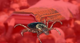 6 ilde ölüm tehlikesi! 5 kişi hayatını kaybetti