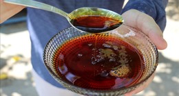 Günde Bir Kaşık Pekmez: Vücut Direncini Katlayan Şaşırtıcı Faydaları!