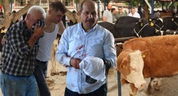 Acemi kasaplar yine hastanelik oldu! Bu bayramda da yine aynı görüntü