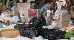 Kedi koruma gönüllüsünün evinde korkunç olay! Çok sayıda kedi ölü bulundu